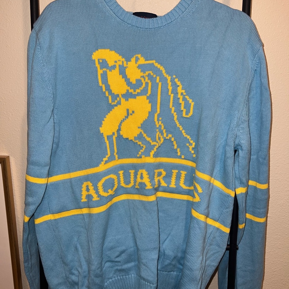 Gyles & George Astrology Sweater - Aquarius